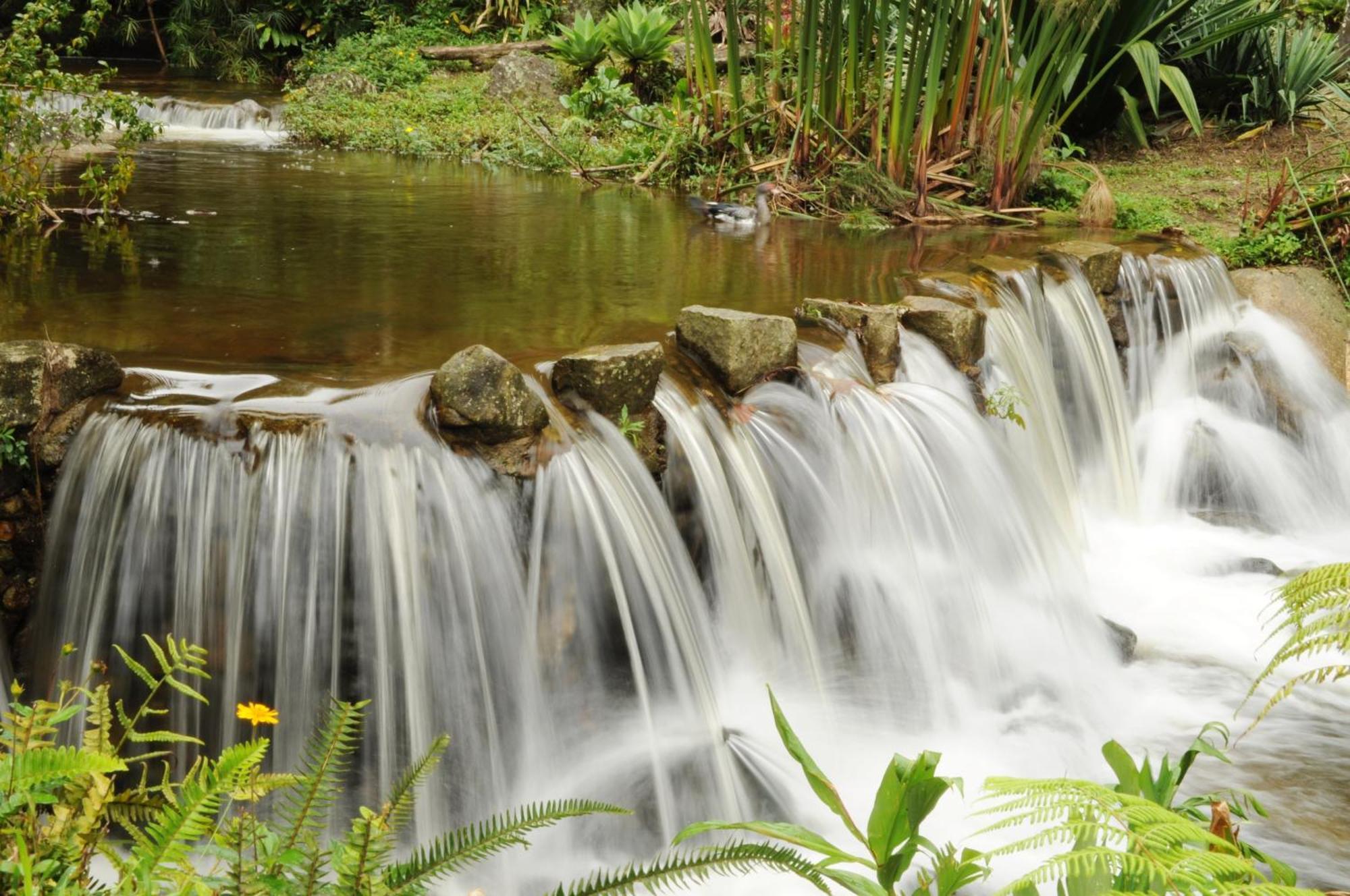 Pousada Sitio E Poesia Teresópolis Exteriör bild